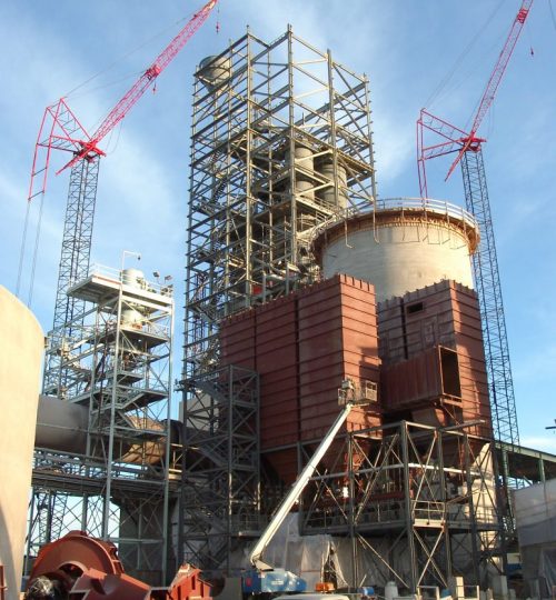 Dragon-new-2-773x1030